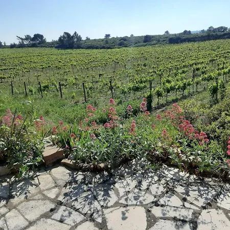Garrigue Sur Cour Ferienhaus *