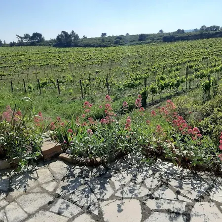 Garrigue Sur Cour Holiday home *